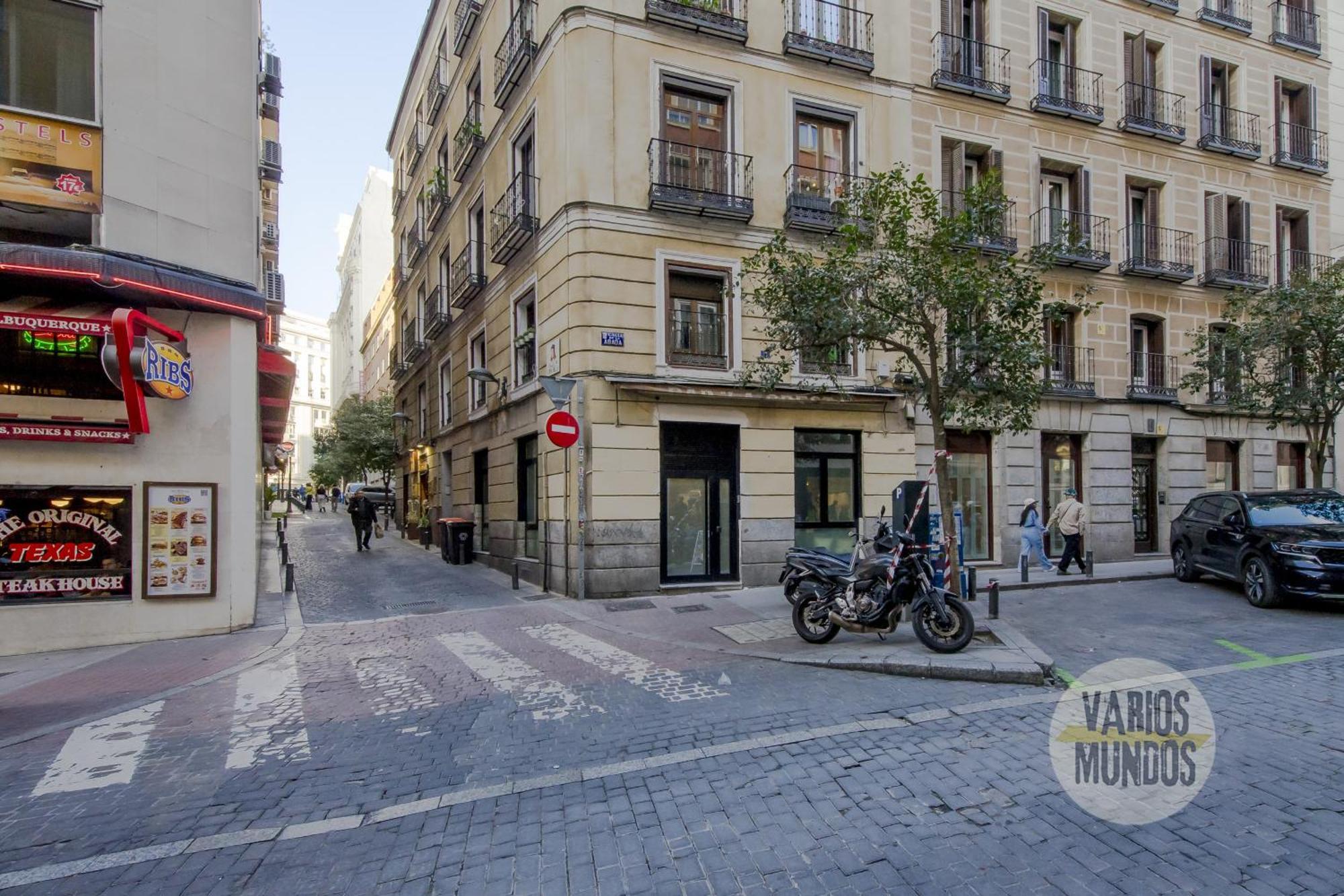 Deluxe Apt En El Centro De Madrid Para 9Pax E3 Exterior foto